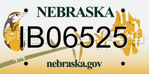 IB06525 Nebraska License Plate