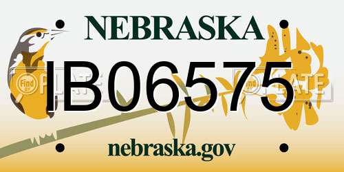 IB06575 Nebraska License Plate