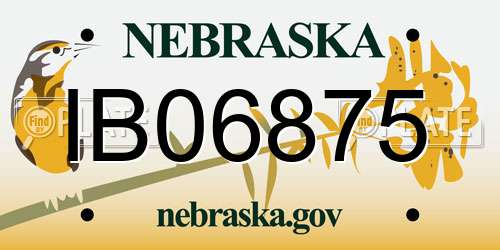 IB06875 Nebraska License Plate