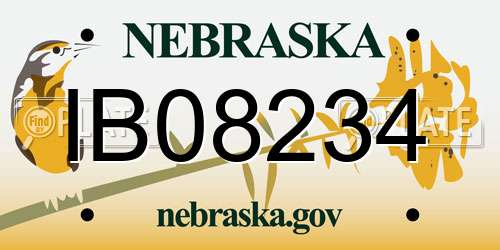IB08234 Nebraska License Plate