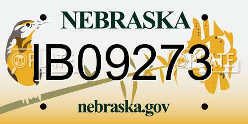IB09273 Nebraska License Plate