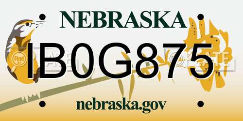 IB0G875 Nebraska License Plate