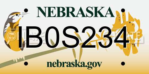 IB0S234 Nebraska License Plate