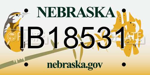IB18531 Nebraska License Plate