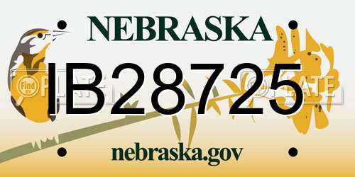 IB28725 Nebraska License Plate