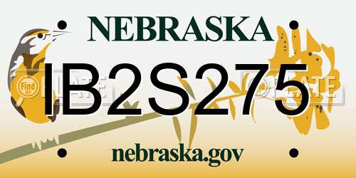 IB2S275 Nebraska License Plate