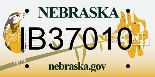IB37010 Nebraska License Plate