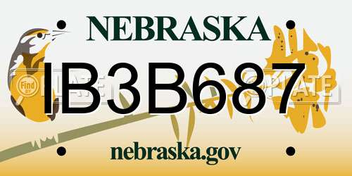 IB3B687 Nebraska License Plate