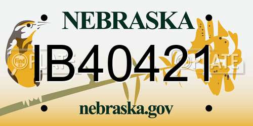 IB40421 Nebraska License Plate