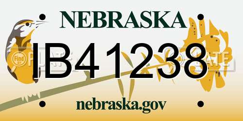 IB41238 Nebraska License Plate