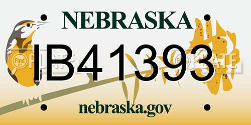 IB41393 Nebraska License Plate