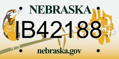 IB42188 Nebraska License Plate