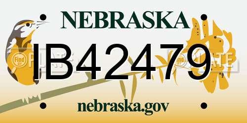 IB42479 Nebraska License Plate