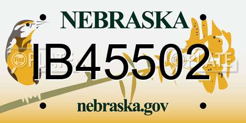 IB45502 Nebraska License Plate