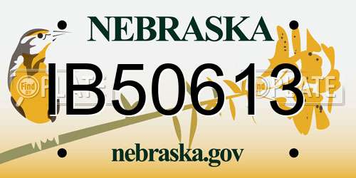 IB50613 Nebraska License Plate