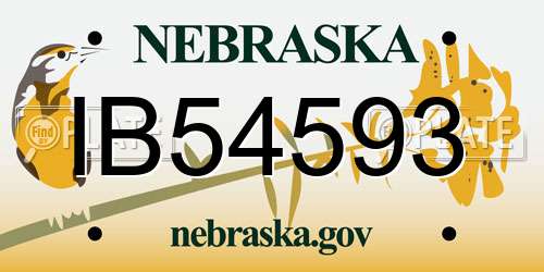 IB54593 Nebraska License Plate