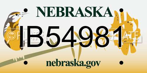 IB54981 Nebraska License Plate