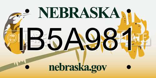 IB5A981 Nebraska License Plate