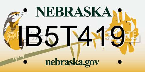 IB5T419 Nebraska License Plate
