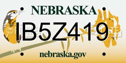 IB5Z419 Nebraska License Plate