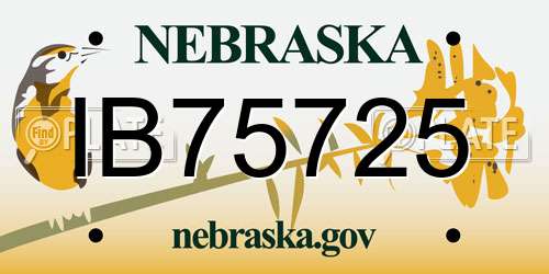 IB75725 Nebraska License Plate