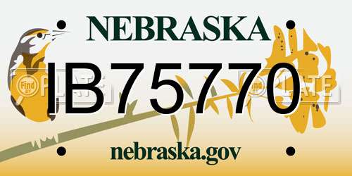 IB75770 Nebraska License Plate
