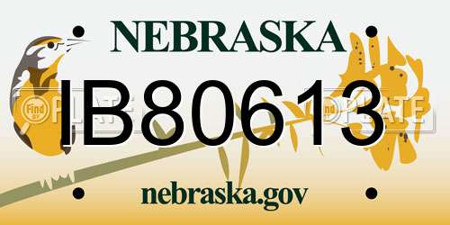 IB80613 Nebraska License Plate