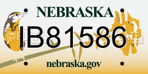 IB81586 Nebraska License Plate