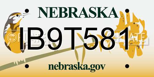 IB9T581 Nebraska License Plate