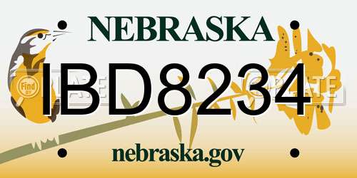 IBD8234 Nebraska License Plate