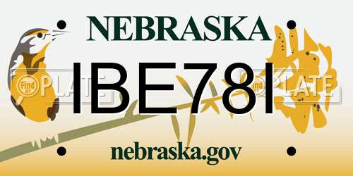 IBE78I Nebraska License Plate