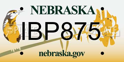 IBP875 Nebraska License Plate