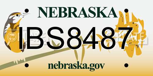 IBS8487 Nebraska License Plate
