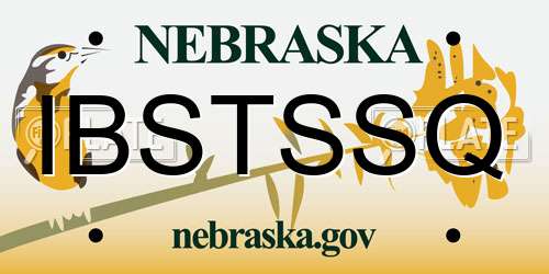 IBSTSSQ Nebraska License Plate
