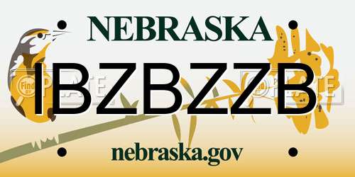 IBZBZZB Nebraska License Plate