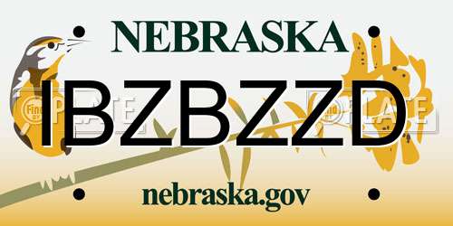 IBZBZZD Nebraska License Plate