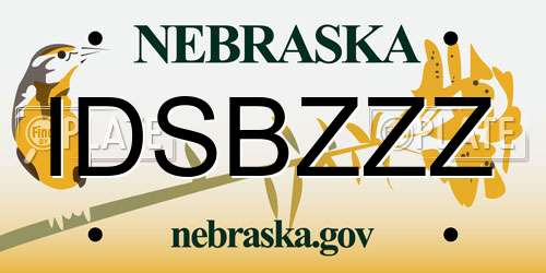 IDSBZZZ Nebraska License Plate