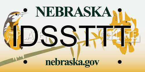 IDSSTTT Nebraska License Plate