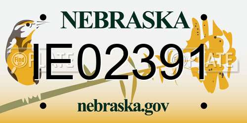 IE02391 Nebraska License Plate