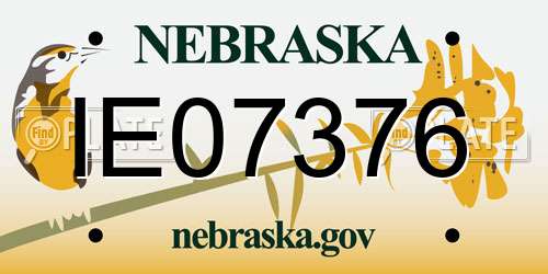 IE07376 Nebraska License Plate