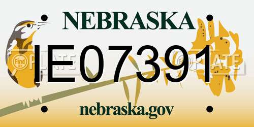 IE07391 Nebraska License Plate