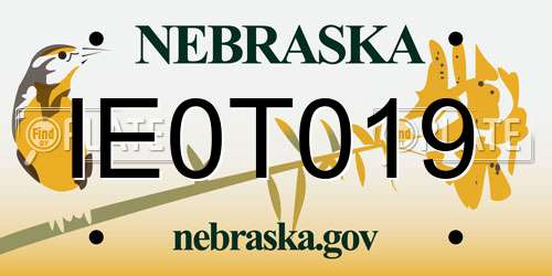 IE0T019 Nebraska License Plate