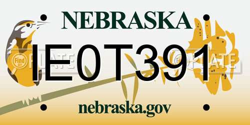 IE0T391 Nebraska License Plate