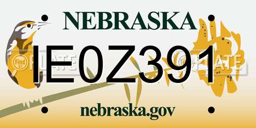 IE0Z391 Nebraska License Plate