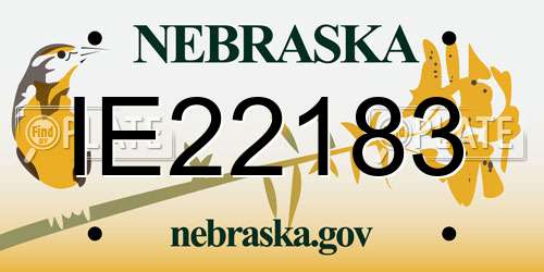 IE22183 Nebraska License Plate