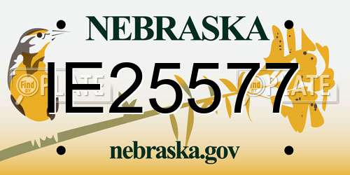 IE25577 Nebraska License Plate