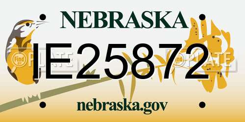 IE25872 Nebraska License Plate
