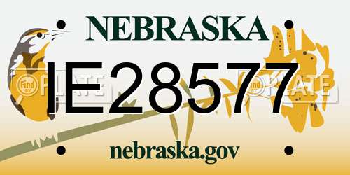 IE28577 Nebraska License Plate