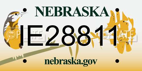 IE28811 Nebraska License Plate
