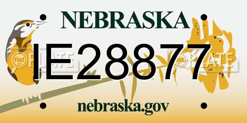 IE28877 Nebraska License Plate